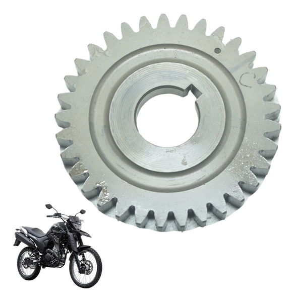 Engrenagem Virabrequim Yamaha Xtz Lander 250 19-22 Original