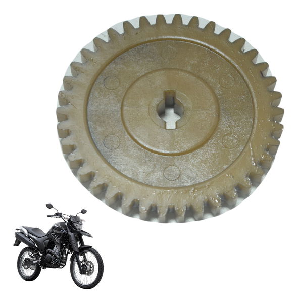 Engrenagem Bomba Óleo Yamaha Xtz Lander 250 19-22 Original