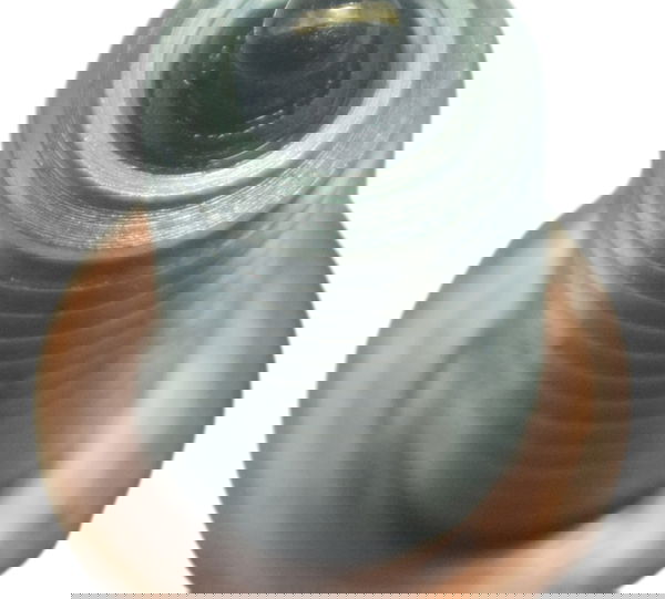 Sensor Neutro Yamaha Xtz Lander 250 19-22 Original