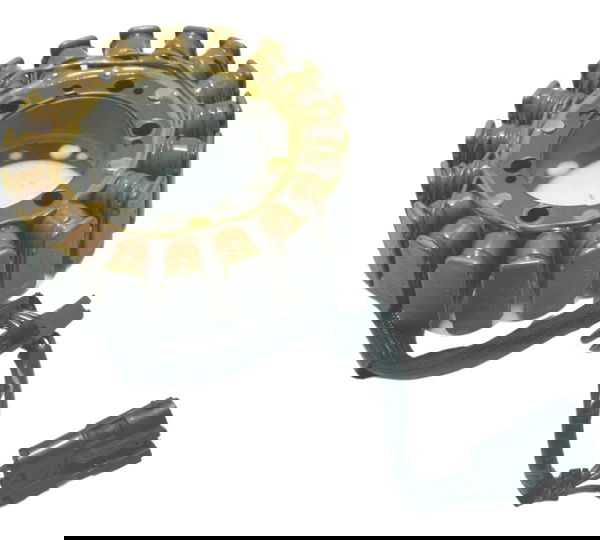 Estator Bmw G 650 Gs 05-11 Original