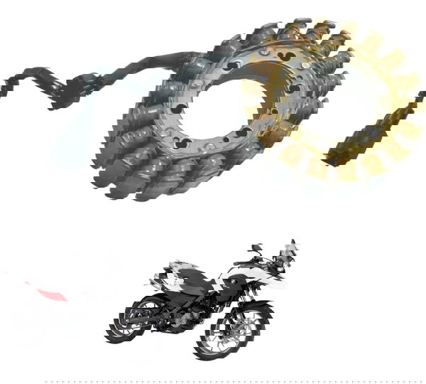 Estator Bmw G 650 Gs 05-11 Original