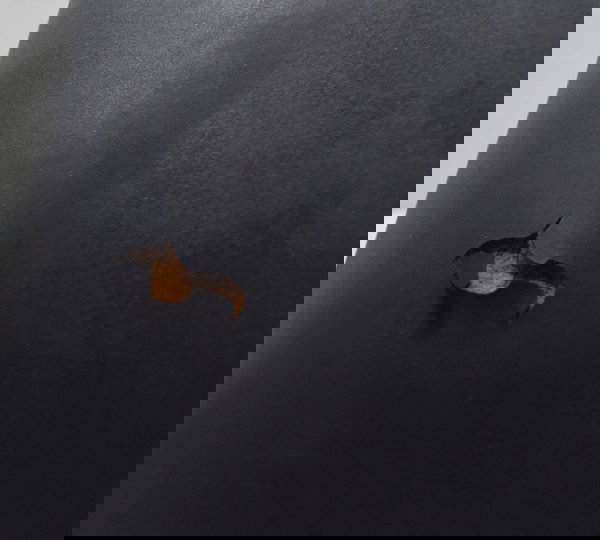 Banco Dianteiro C/ Avaria Suzuki Gsx-r Srad 1000 02-05 Orig