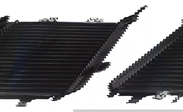 Radiador Bmw G310 Gs 20-24 Original