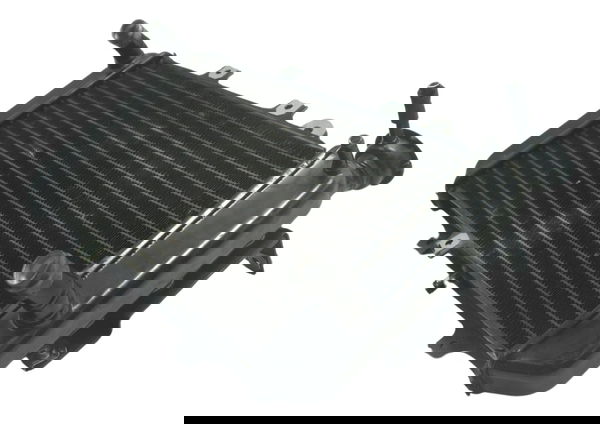 Radiador Bmw G310 Gs 20-24 Original