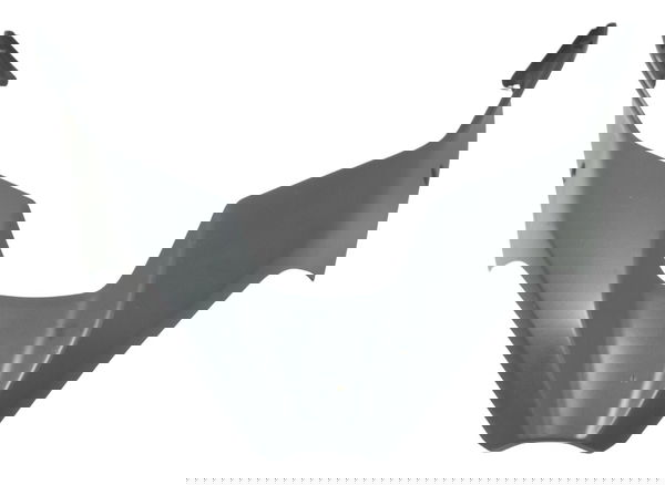 Carenagem Bico Front Ducati Multistrada V4s 18-21 Original