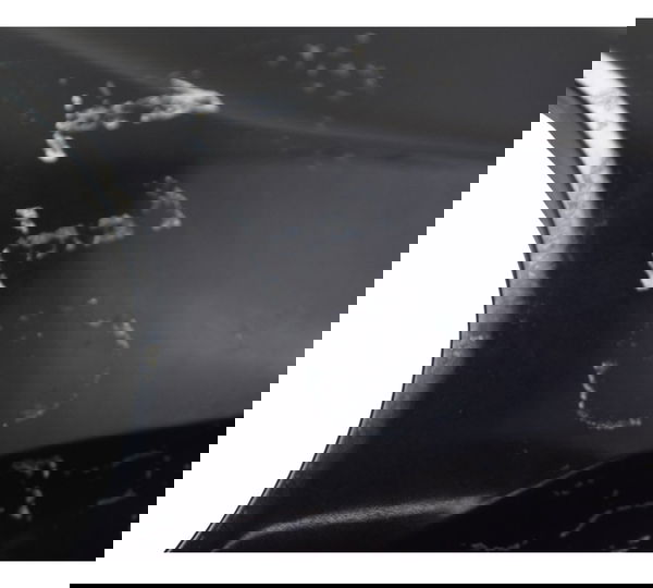 Capa Central Tanque C/detalhes Bmw G310 Gs 20-24 Original