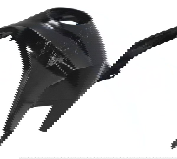 Capa Central Tanque C/detalhes Bmw G310 Gs 20-24 Original