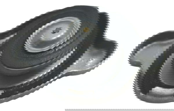 Tampa Radiador Bmw G310 Gs 20-24 Original