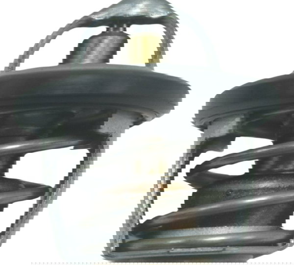 Válvula Termostática Bmw G310 Gs 20-24 Original