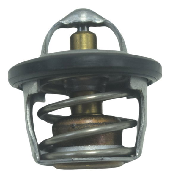 Válvula Termostática Bmw G310 Gs 20-24 Original