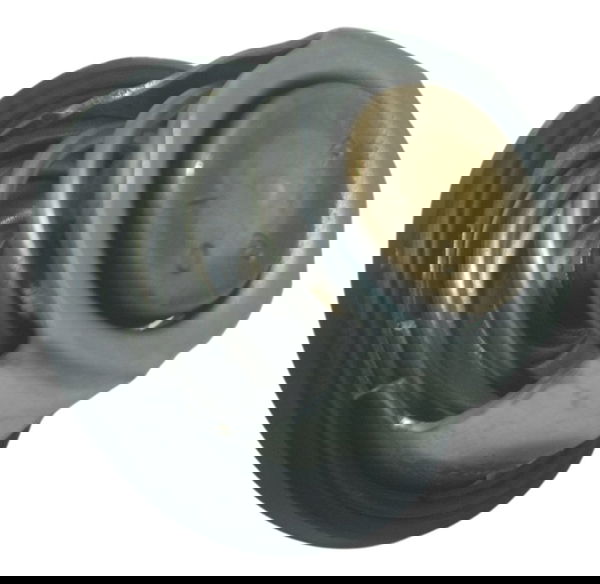 Válvula Termostática Bmw G310 Gs 20-24 Original