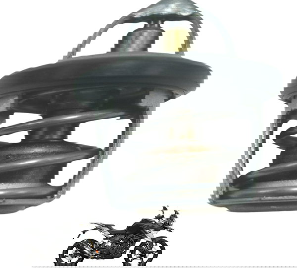 Válvula Termostática Bmw G310 Gs 20-24 Original