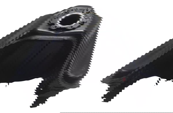 Tanque C/ Detalhes Bmw G 310 Gs 17-20 Original