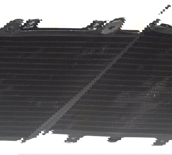 Radiador C/ Detalhes Bmw G 310 Gs 17-20 Original