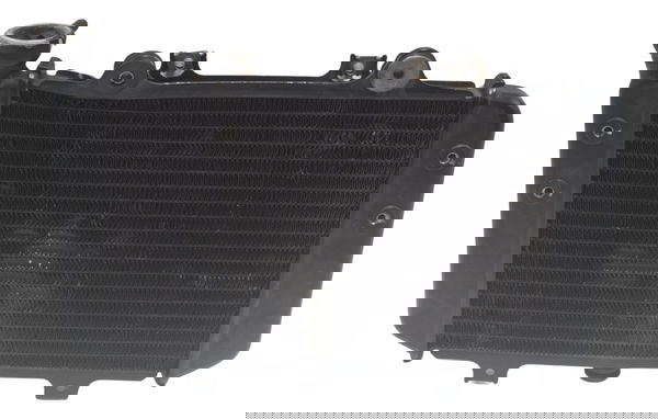 Radiador C/ Detalhes Bmw G 310 Gs 17-20 Original