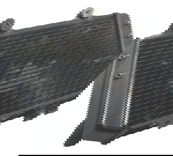 Radiador C/ Detalhes Bmw G 310 Gs 17-20 Original