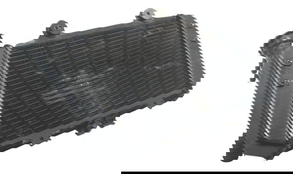 Radiador C/ Detalhes Bmw G 310 Gs 17-20 Original