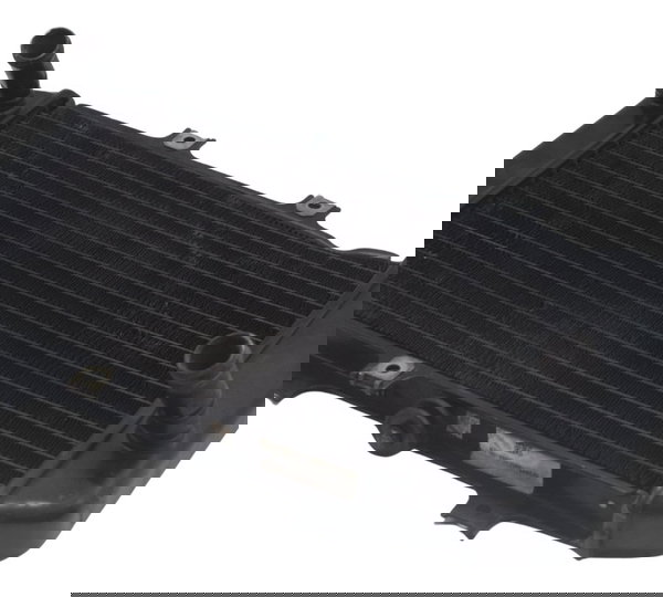 Radiador C/ Detalhes Bmw G 310 Gs 17-20 Original