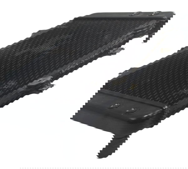 Radiador C/ Detalhes Bmw G 310 Gs 17-20 Original