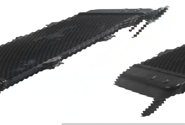 Radiador C/ Detalhes Bmw G 310 Gs 17-20 Original