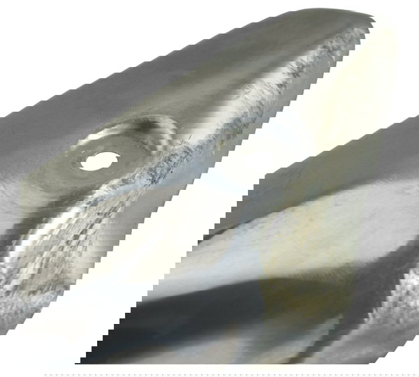 Capa Protetor Ponteira Escape C/ Det Bmw G 310 Gs 17-20 Orig