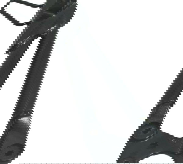 Bacalhau Traseiro Esquerdo Bmw G 310 Gs 17-20 Original