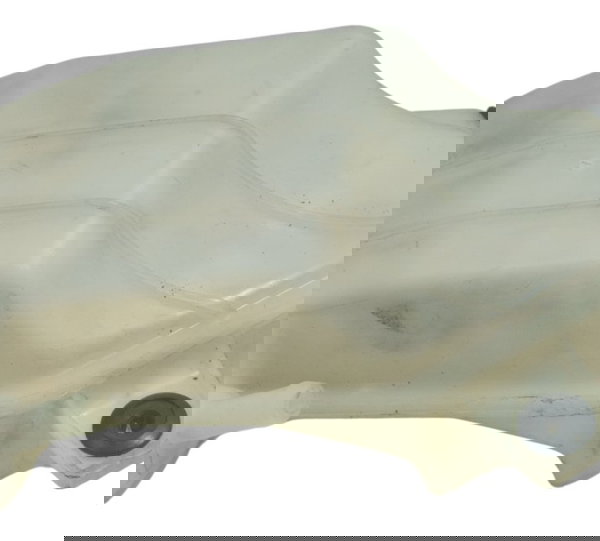 Reservatório Água Bmw G 310 Gs 17-20 Original