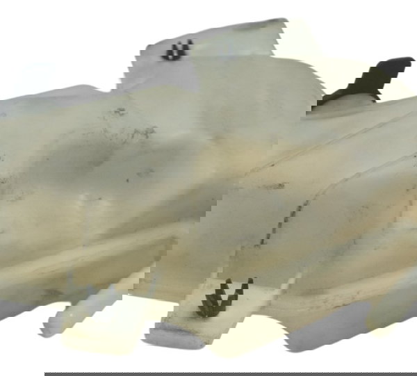 Reservatório Água Bmw G 310 Gs 17-20 Original