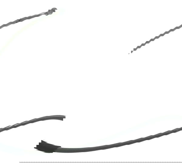 Flexível Freio Traseiro Bmw G 310 Gs 17-20 Original