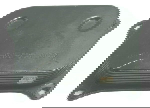 Resfriador Óleo Bmw G 310 Gs 17-20 Original