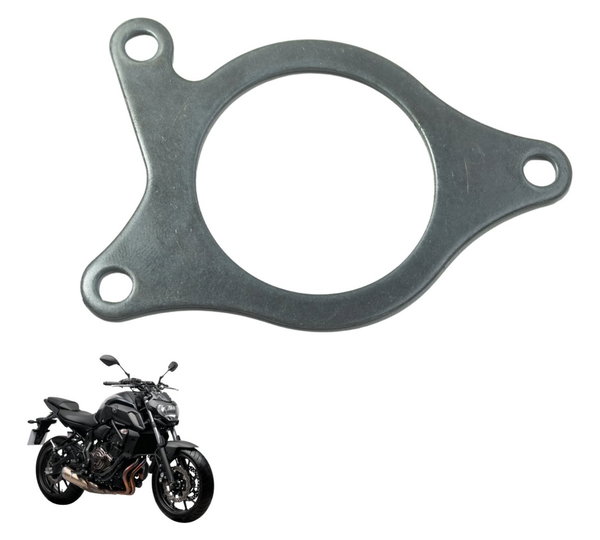 Placa Rolamento Yamaha Mt 07 15-24 Original