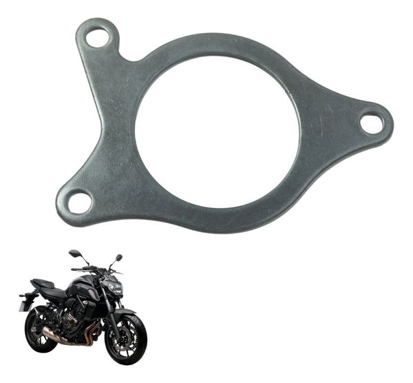 Placa Rolamento Yamaha Mt 07 15-24 Original