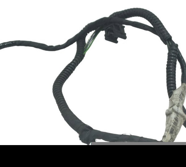 Chicote Sensor Pedal Descanso Lat Bmw G 310 Gs 17-20 Orig