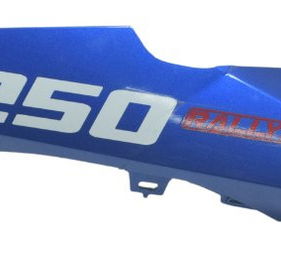 Lateral Bico Esq C/detalhes Bmw R1250 Gs Adv 19-24 Original