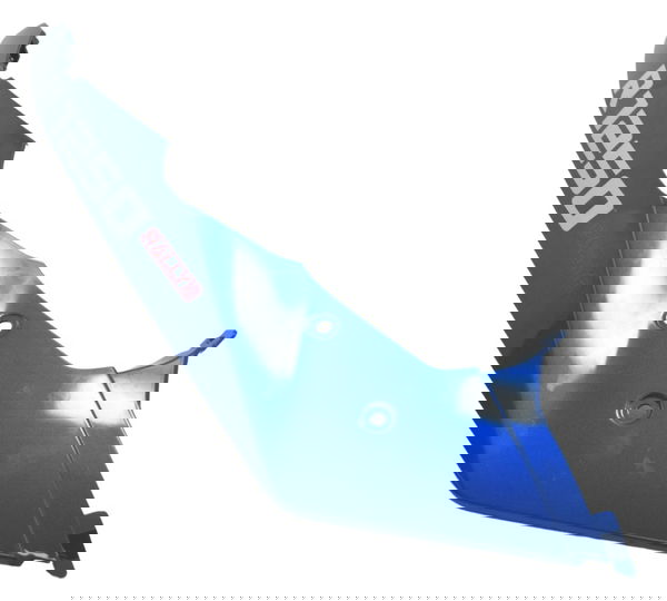 Lateral Bico Esq C/detalhes Bmw R1250 Gs Adv 19-24 Original