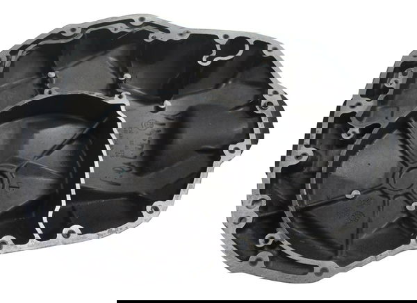 Tampa Motor Frontal C/detalhes Bmw R1250 Gs Adv 19-24 Orig