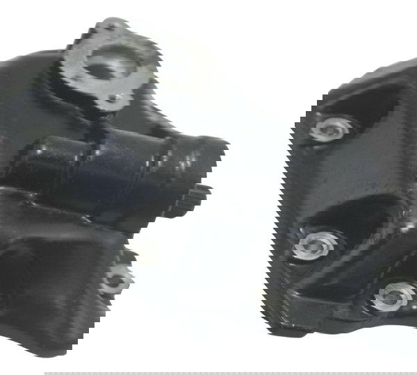 Tampa Eixo Seletor Marcha Bmw R1250 Gs Adv 19-24 Original