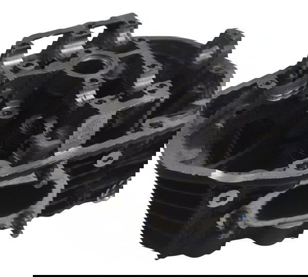 Cabeçote Esquerdo Bmw R1250 Gs Adv 19-24 Original