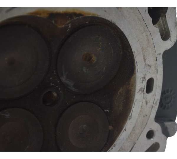 Cabeçote Esquerdo Bmw R1250 Gs Adv 19-24 Original