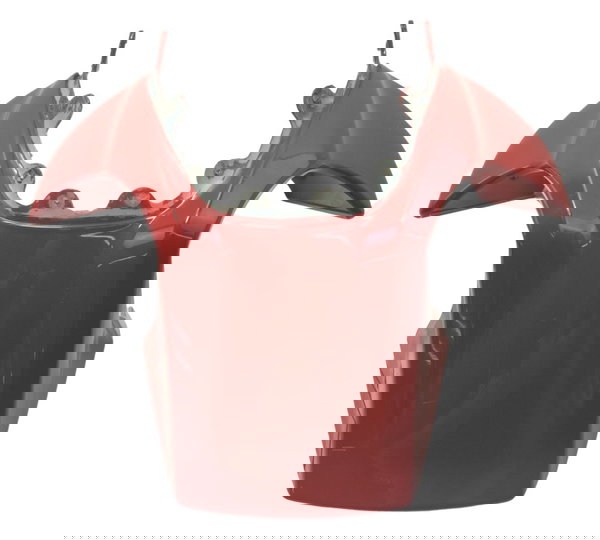 Paralama Diant C/ Detalh Ducati Multistrada 1260s 18-21 Orig