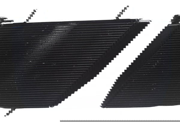 Radiador C/ Detalhes Ducati Multistrada 1260s 18-21 Original