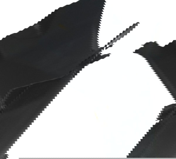 Acabamento Interno Esquerdo Ducati Panigale 1199 2013 Orig