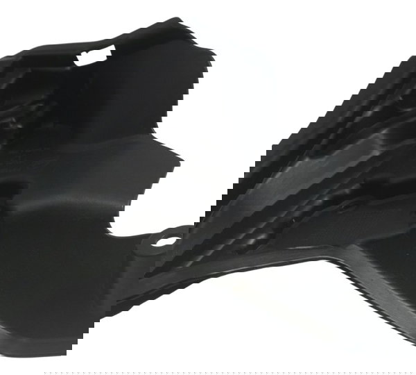 Acabamento Capa Motor Ducati Panigale 1199 2013 Orig