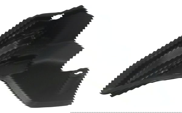 Acabamento Capa Motor Ducati Panigale 1199 2013 Orig