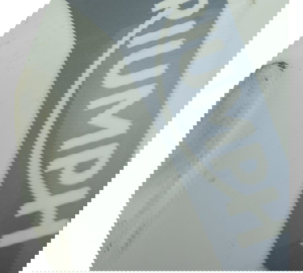 Tanque C/ Detalhes Triumph Tiger 900 20-23 Orig