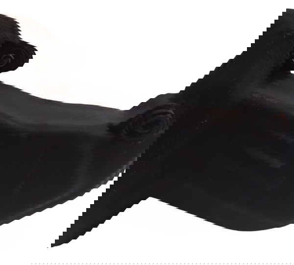 Catalisador Ktm Duke 390 15-18 Original