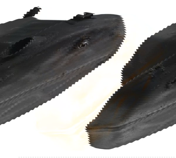 Catalisador Ktm Duke 390 15-18 Original