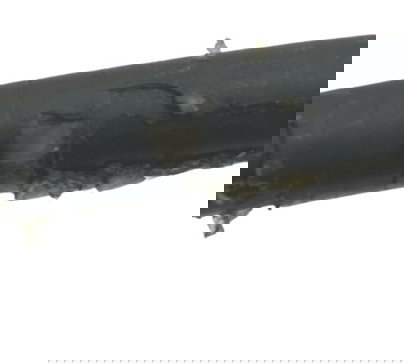 Flexível Freio Traseiro Ktm Duke 390 15-18 Original