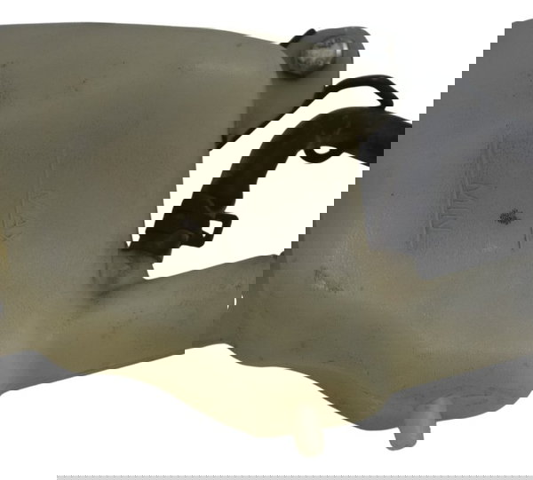 Reservatório Água Ktm Duke 200 12-17 Original