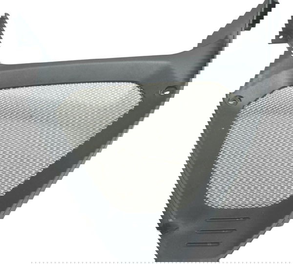 Protetor Radiador Óleo Ducati Diavel 1260 19-22 Original